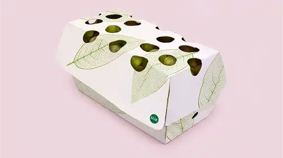 Fruit basket carton made