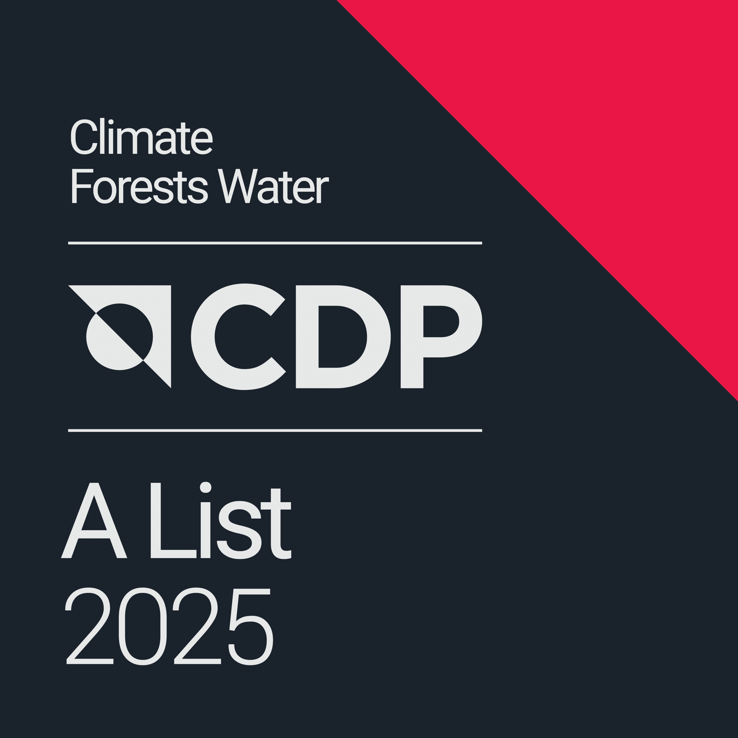 2025 CDP logo