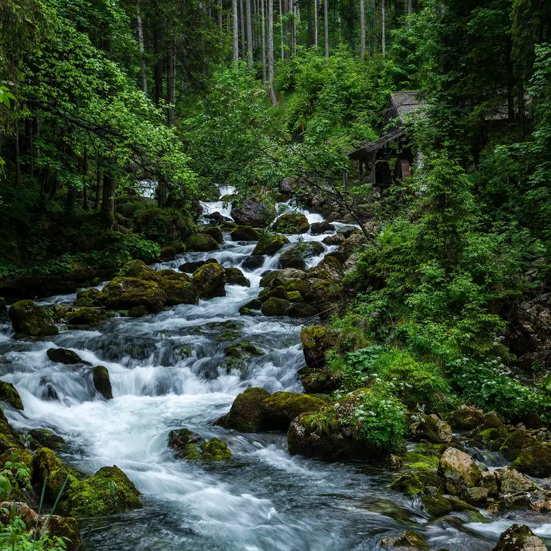 Responsible resource management is an important element of a strong ESG policy.