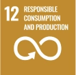 icon-responsible-consumption